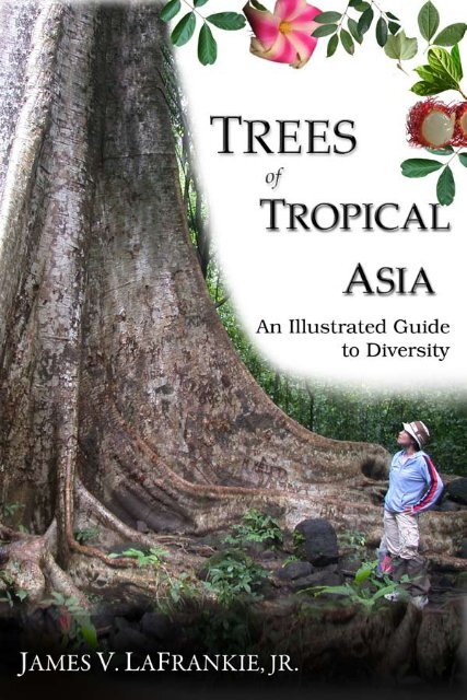 An Illustrated Guide to Diversity - Trees of Tropical Asia LaFrankie