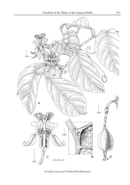 Checklist of the Plants of the Guiana Shield - Department of Botany ...