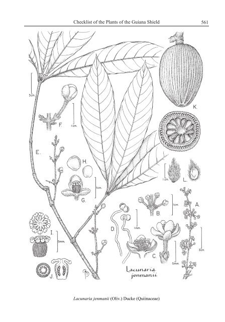 Checklist of the Plants of the Guiana Shield - Department of Botany ...