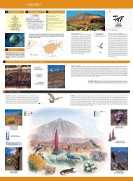 TEIDE ESP A - Red de Parques Nacionales