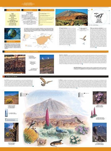 TEIDE ESP A - Red de Parques Nacionales