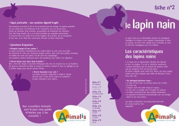 le lapin nain - Animalis