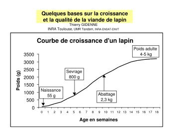 Courbe de croissance d'un lapin - Avicampus