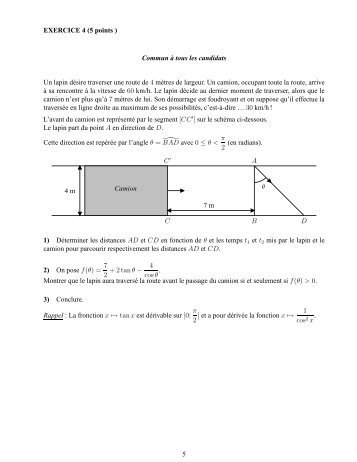 EXERCICE 4 (5 points ) Commun à tous les candidats Un lapin ...