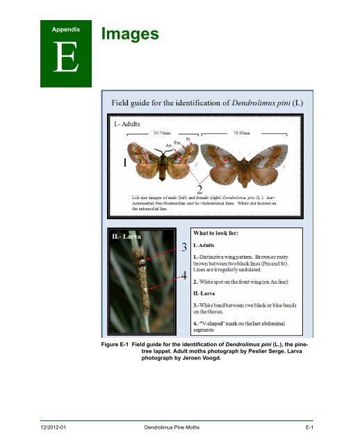 New Pest Response Guidelines - aphis - US Department of Agriculture