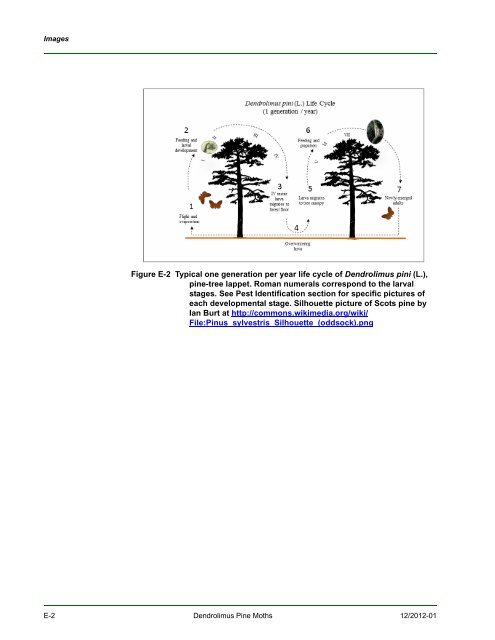 New Pest Response Guidelines - aphis - US Department of Agriculture