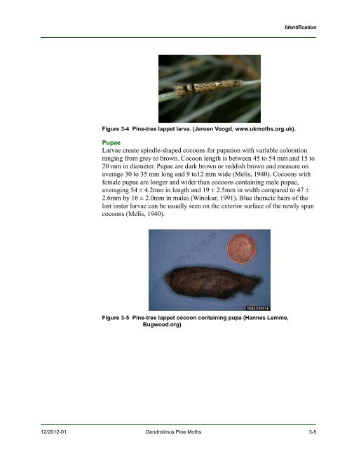 New Pest Response Guidelines - aphis - US Department of Agriculture