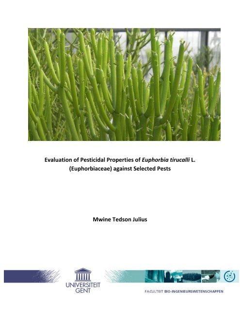 Evaluation Of Pesticidal Properties Of Euphorbia Tirucalli L