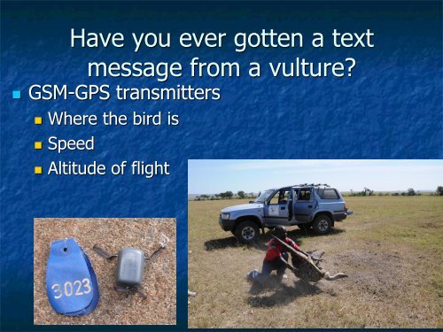 Assessing Movement Patterns for Threatened Vultures in East