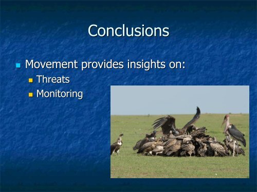 Assessing Movement Patterns for Threatened Vultures in East