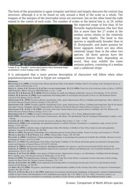 Eggspots Elsewhere - Welt der Fische / World of Fishes
