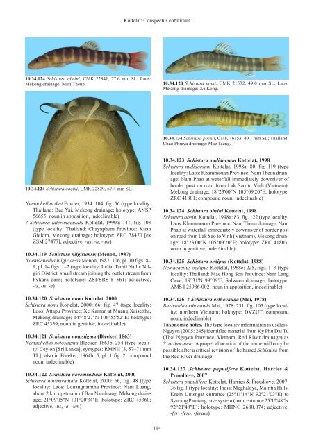 Conspectus cobitidum - Raffles Museum of Biodiversity Research