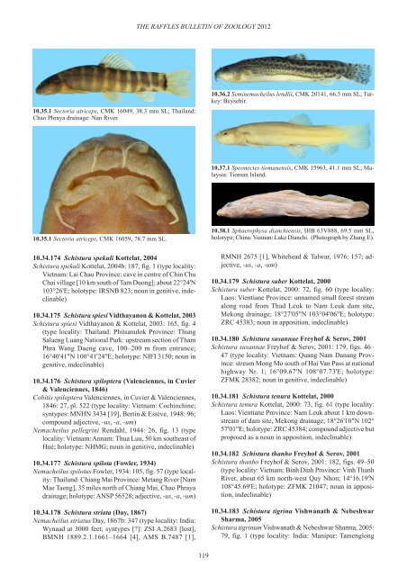 Conspectus cobitidum - Raffles Museum of Biodiversity Research