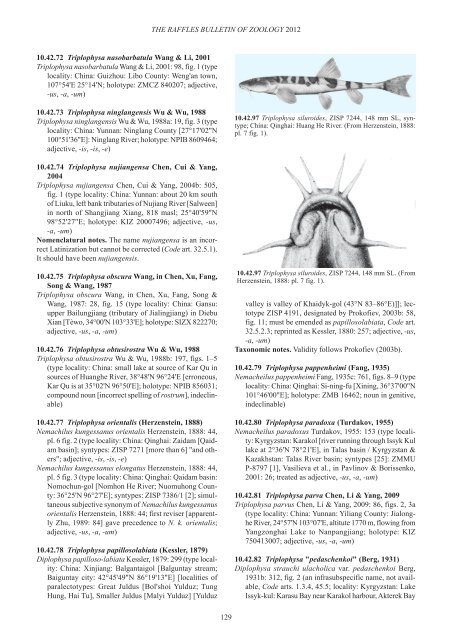 Conspectus cobitidum - Raffles Museum of Biodiversity Research