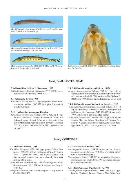 Conspectus cobitidum - Raffles Museum of Biodiversity Research