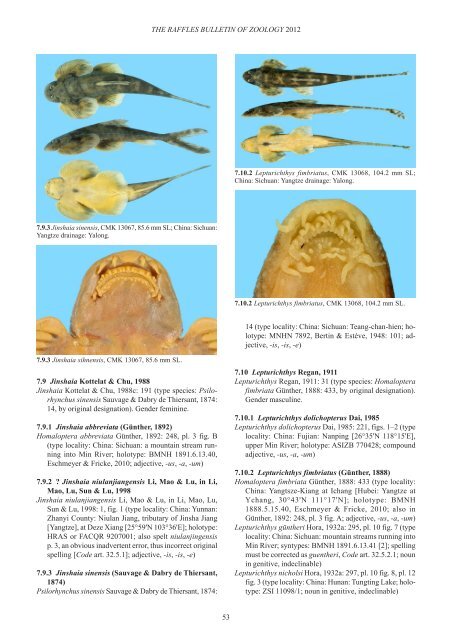 Conspectus cobitidum - Raffles Museum of Biodiversity Research