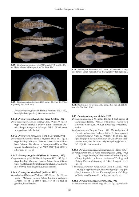 Conspectus cobitidum - Raffles Museum of Biodiversity Research