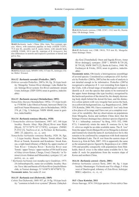 Conspectus cobitidum - Raffles Museum of Biodiversity Research