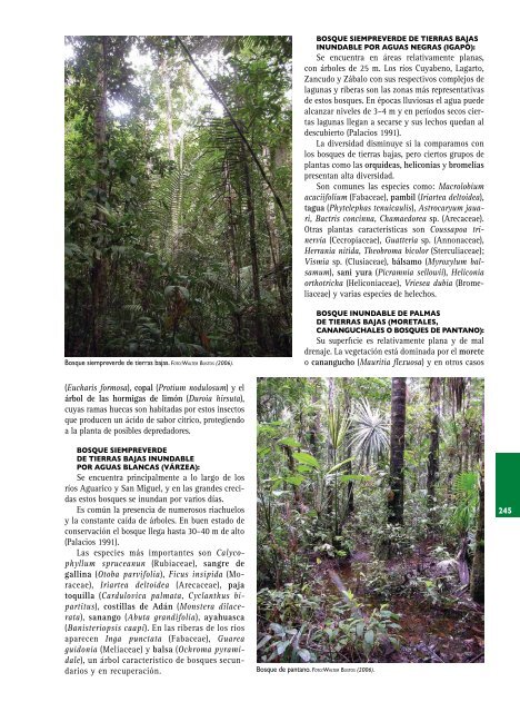 Guía de la Reserva Faunística Cuyabeno - Ministerio del Ambiente