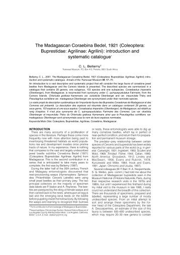 The Madagascan Coraebina Bedel, 1921 (Coleoptera: Buprestidae ...