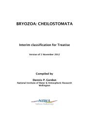 BRYOZOA: CHEILOSTOMATA Interim classification for Treatise