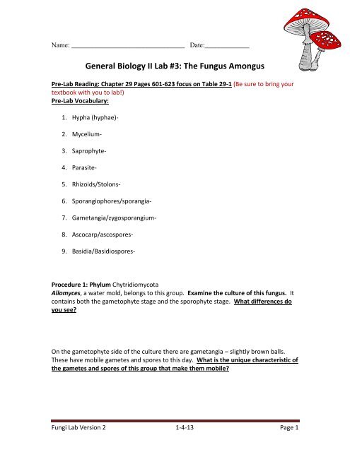 General Biology II Lab #3: The Fungus Amongus