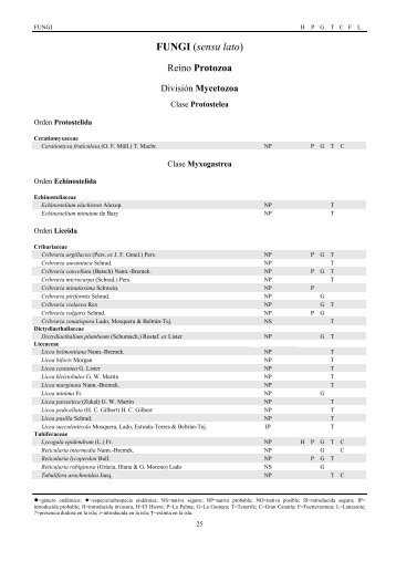 FUNGI (sensu lato)
