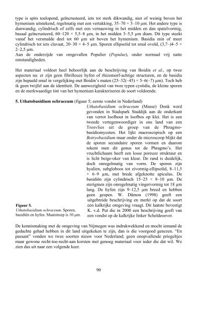 Coolia 48(2) - Nederlandse Mycologische Vereniging