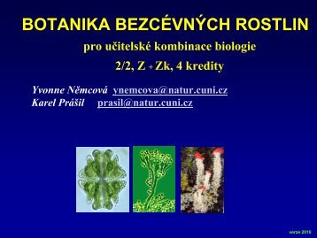 BOTANIKA BEZCÉVNÝCH ROSTLIN