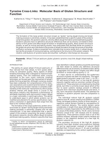 Tyrosine Cross-Links: Molecular Basis of Gluten Structure and Function