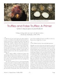 Truffles and False Truffles: A Primer