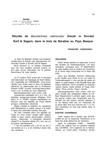 Récolte de Mycolachnea velenovskyi (Vacek in Svrcek ... - Aranzadi