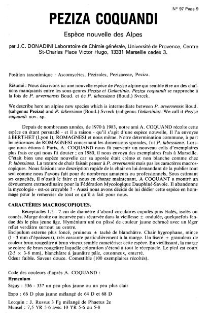 PEZIZA COQUANDI - Ascomycete.org