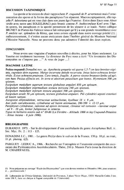 PEZIZA COQUANDI - Ascomycete.org
