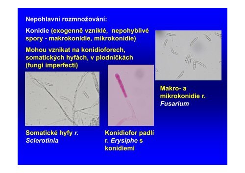 3. Přednáška