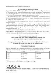 Download deze Coolia in PDF - Nederlandse Mycologische ...