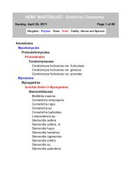 NEMF MASTERLIST - Sorted by Taxonomy