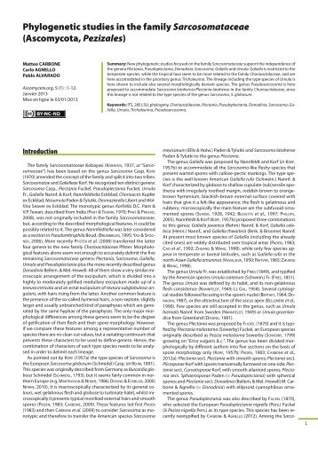 AscomyceteOrg 05-01_AscomyceteOrg