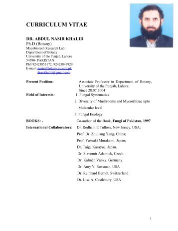 CURRICULUM VITAE - University of the Punjab