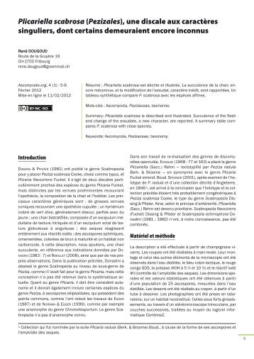 AscomyceteOrg 04-01_AscomyceteOrg