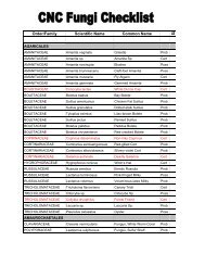 Order/Family Scientific Name Common Name - Chippewa Nature ...