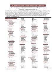 Fungus and Lichen Genera in the NEMF Database