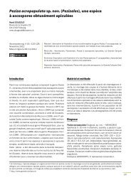 AscomyceteOrg 04-06_AscomyceteOrg