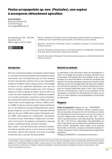 AscomyceteOrg 04-06_AscomyceteOrg