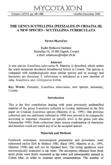 THE GENUS SCUTELLINIA (pEZIZALES) IN ... - Ascomycete.org