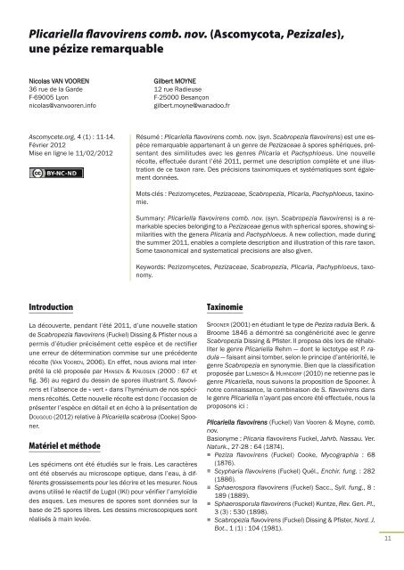 AscomyceteOrg 04-01_AscomyceteOrg