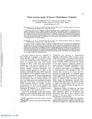 North American species of Coprotus (Thelebolaceae: Pezizales ...