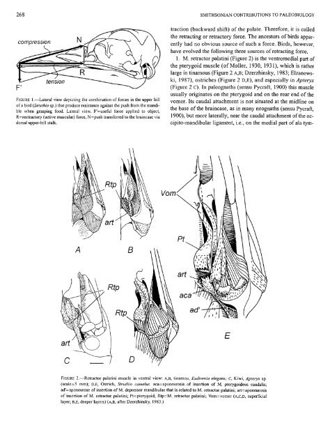 PDF (Lo-Res) - Smithsonian Institution Libraries