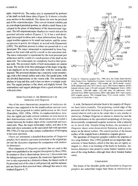 PDF (Lo-Res) - Smithsonian Institution Libraries