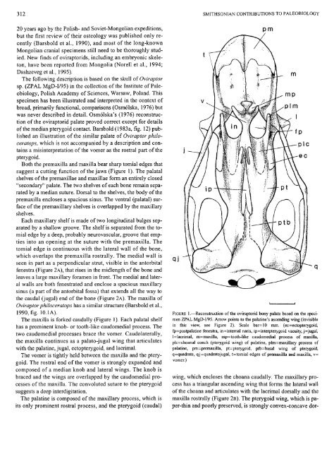 PDF (Lo-Res) - Smithsonian Institution Libraries